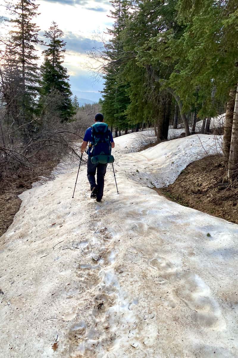 Hiker using trekking poles on snow-packed West Rim trail.