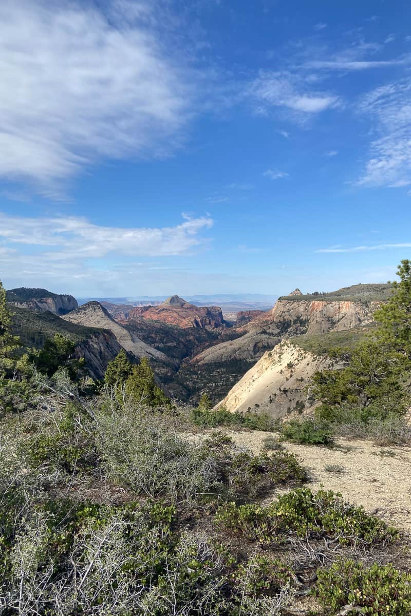 View of colorful mesas and rock outcroppings on West Rim Trail.