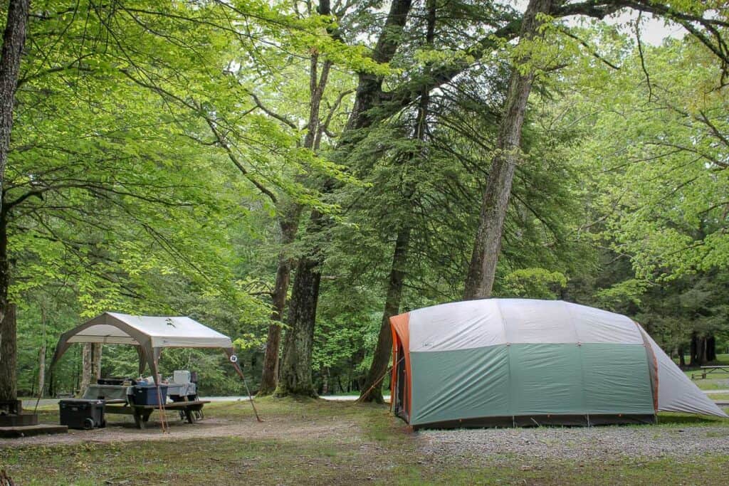 Tent pitched at campsite at Babcock State Park.