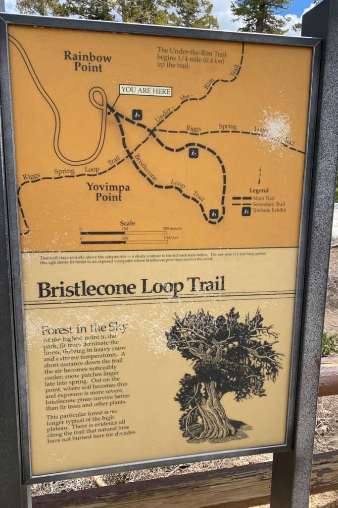 Sign with map for Bristlecone Loop Trail.