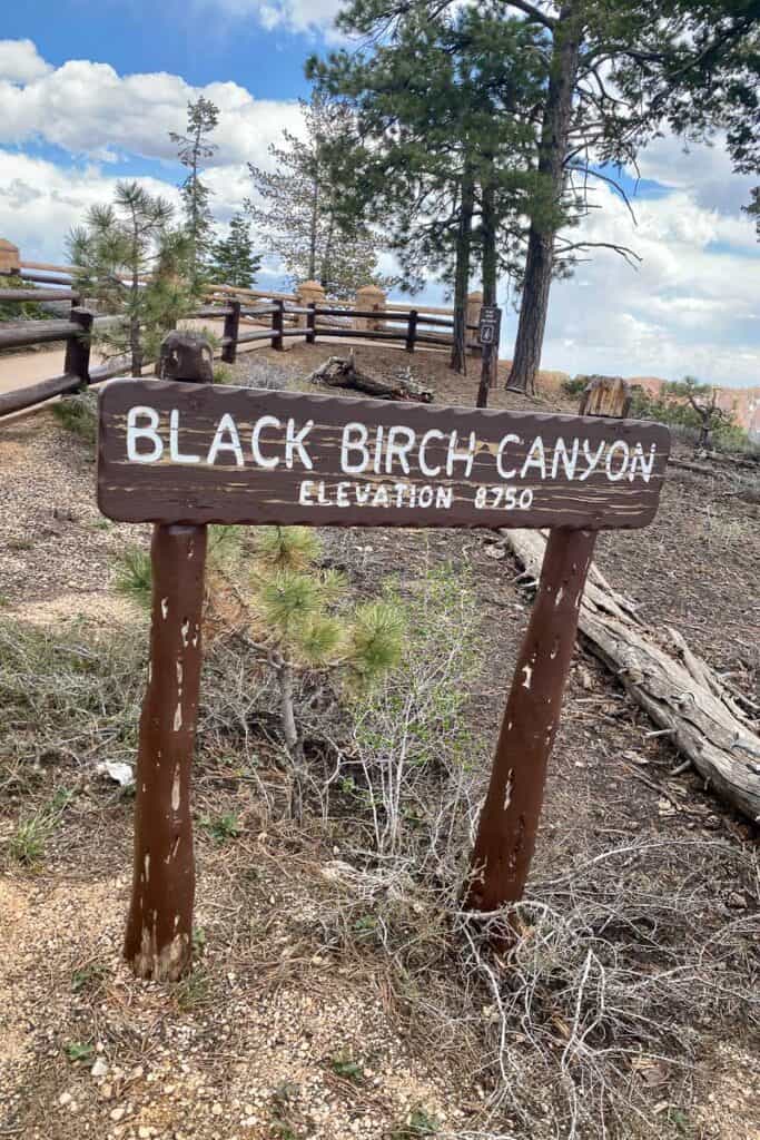 Sign that says "Black Birch Canyon, elevation 8750".