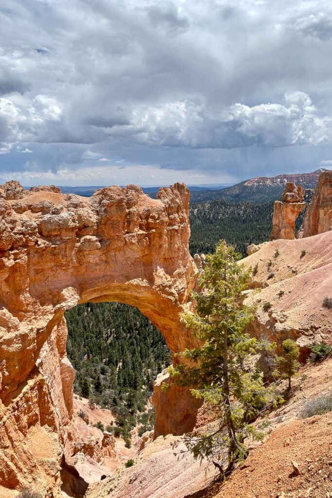 Red sandstone arch called Natural Bridge viewed from Bryce Canyon scenic drive.
