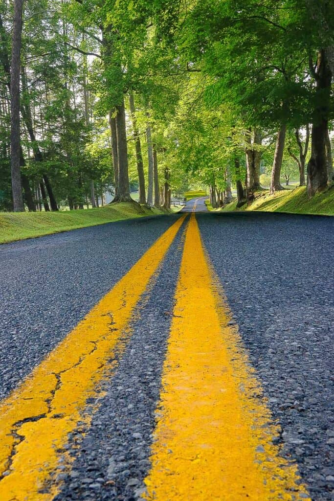 Close-up of paved road passing below tall shady trees near Carnifex Ferry State Park.