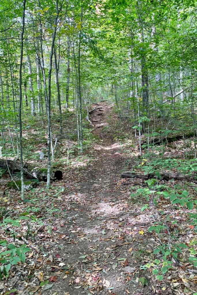 Uphill dirt trail through forest on Owls Head Mountain.