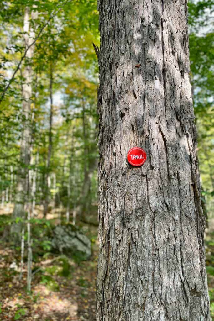 Small red trail marker attached to tree.