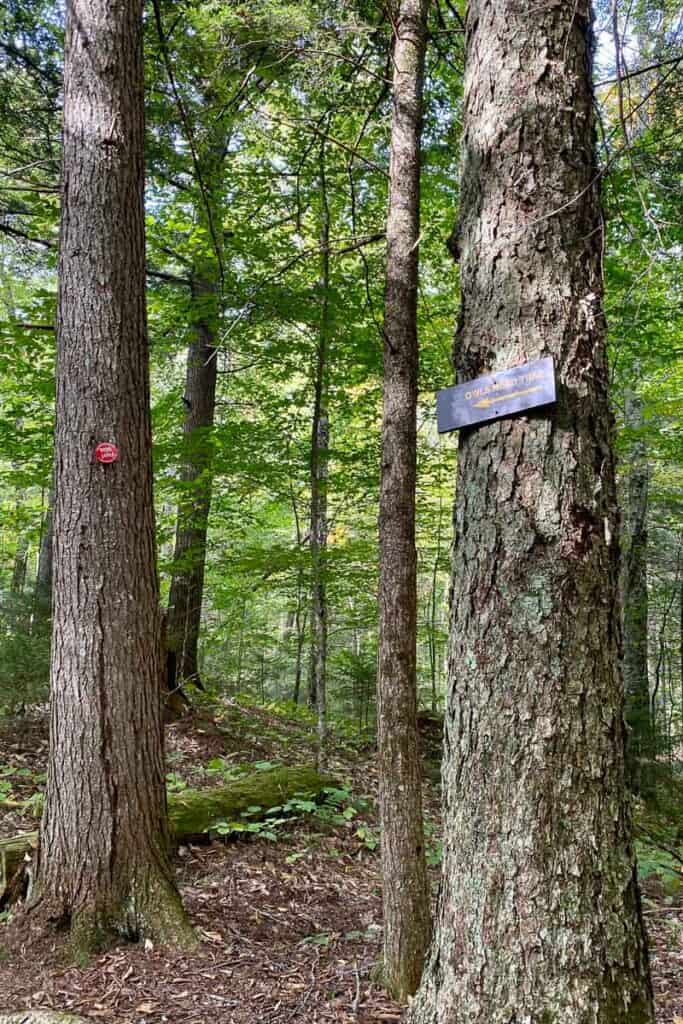 Sign for Owls Head trail attached to tree.
