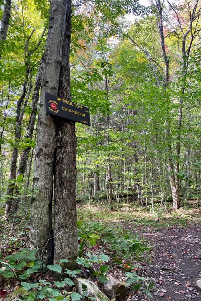 Sign for Owls Head Mountain Trail attached to tree.