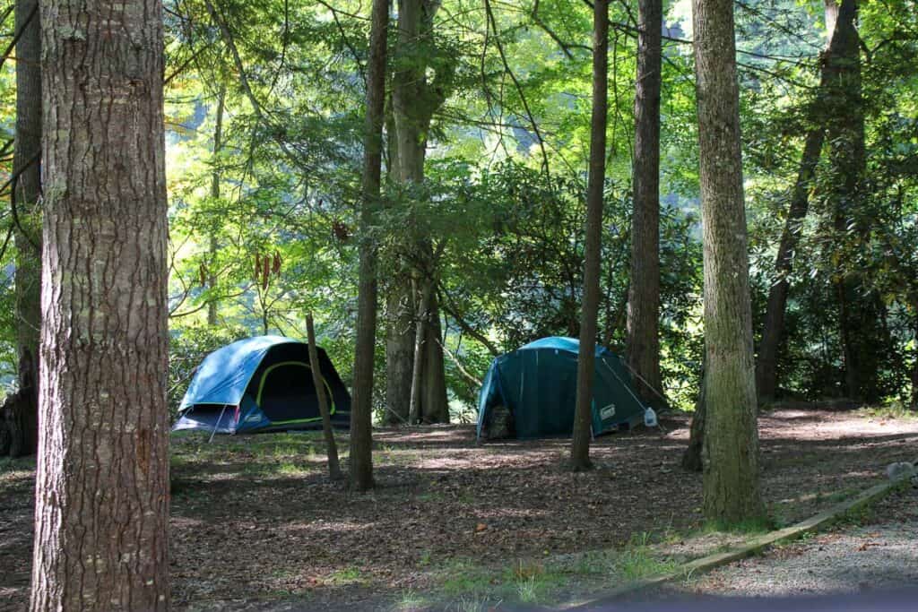 Pitched tents at campsite in Watoga State Park.