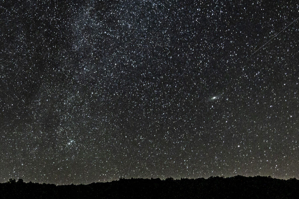 Starry night sky in Watoga State Park.