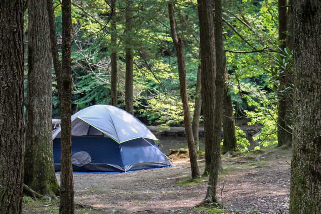 Tent pitched in campground.
