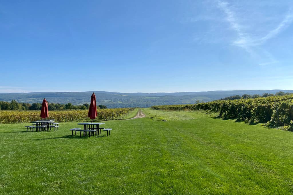 View of vineyard and picnic tables overlooking forested hillside.