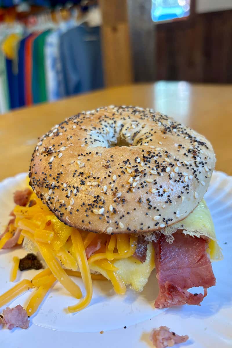 Everything bagel sandwich with meat and cheese.