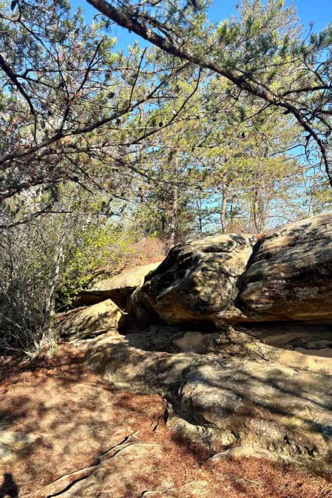 Rocky outcroppings on Auxier Ridge trail.