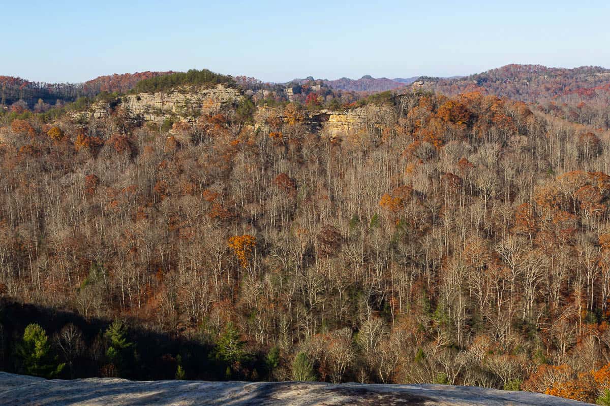 View from Auxier Ridge trail across wooded gorge to rocky hilltops.