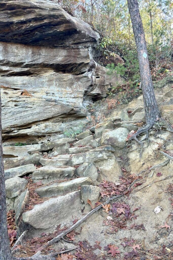 Rock steps on Auxier Trail.