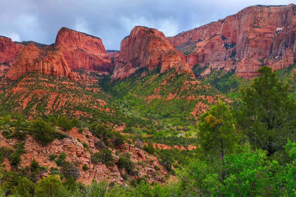 View of red sandstone cliffs jutting upwards from valley floor at Kolob Canyons in Zion National Park.