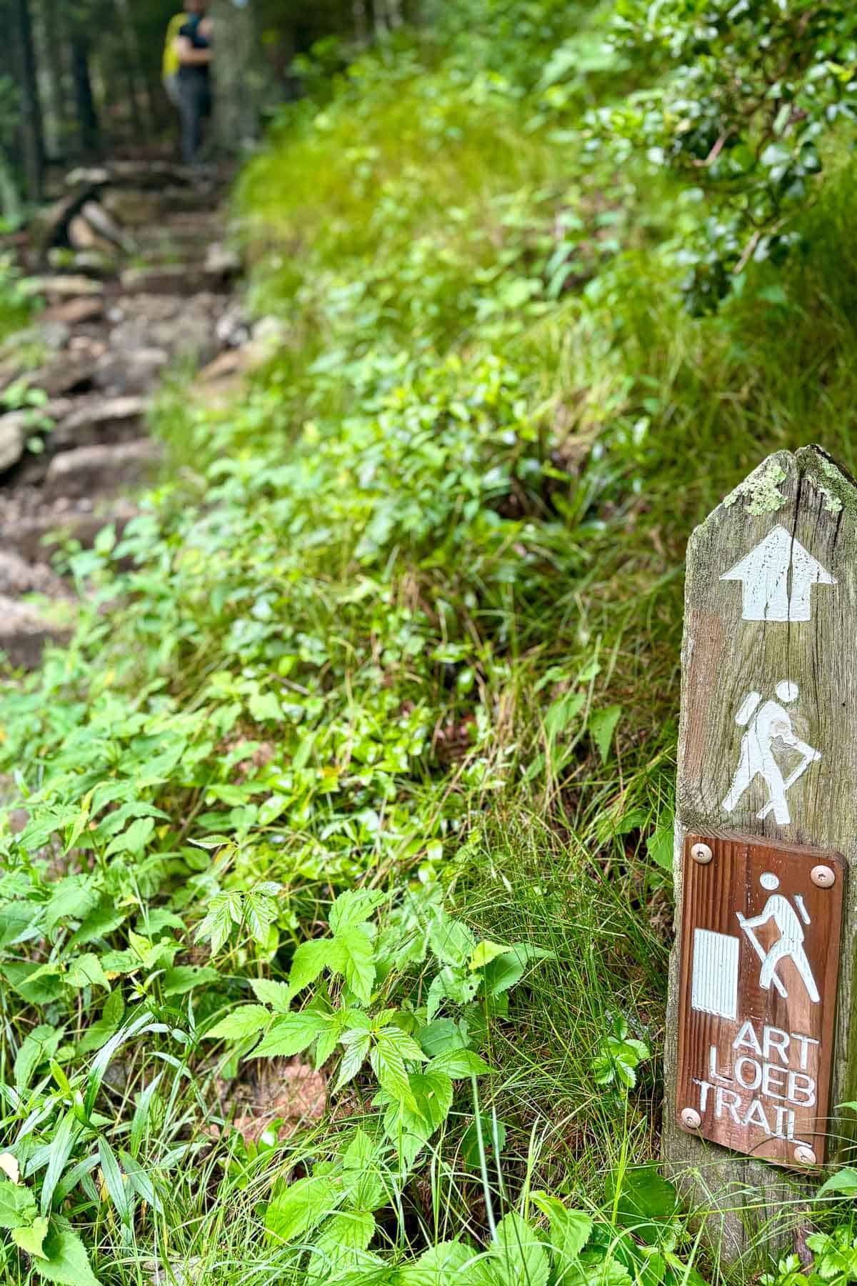 Trail marker for Art Loeb Trail.
