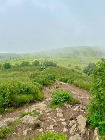 Foggy view of Black Balsam.