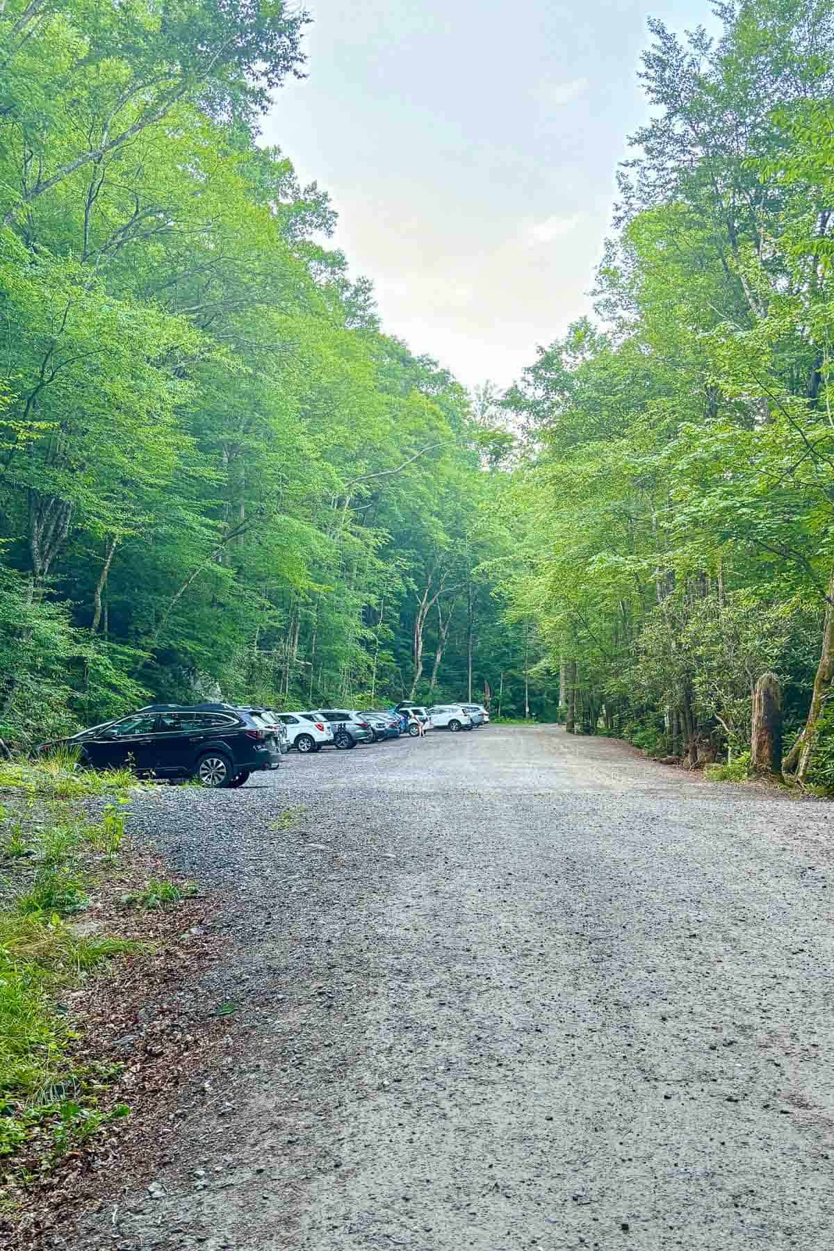 Parking lot at camp daniel boone.