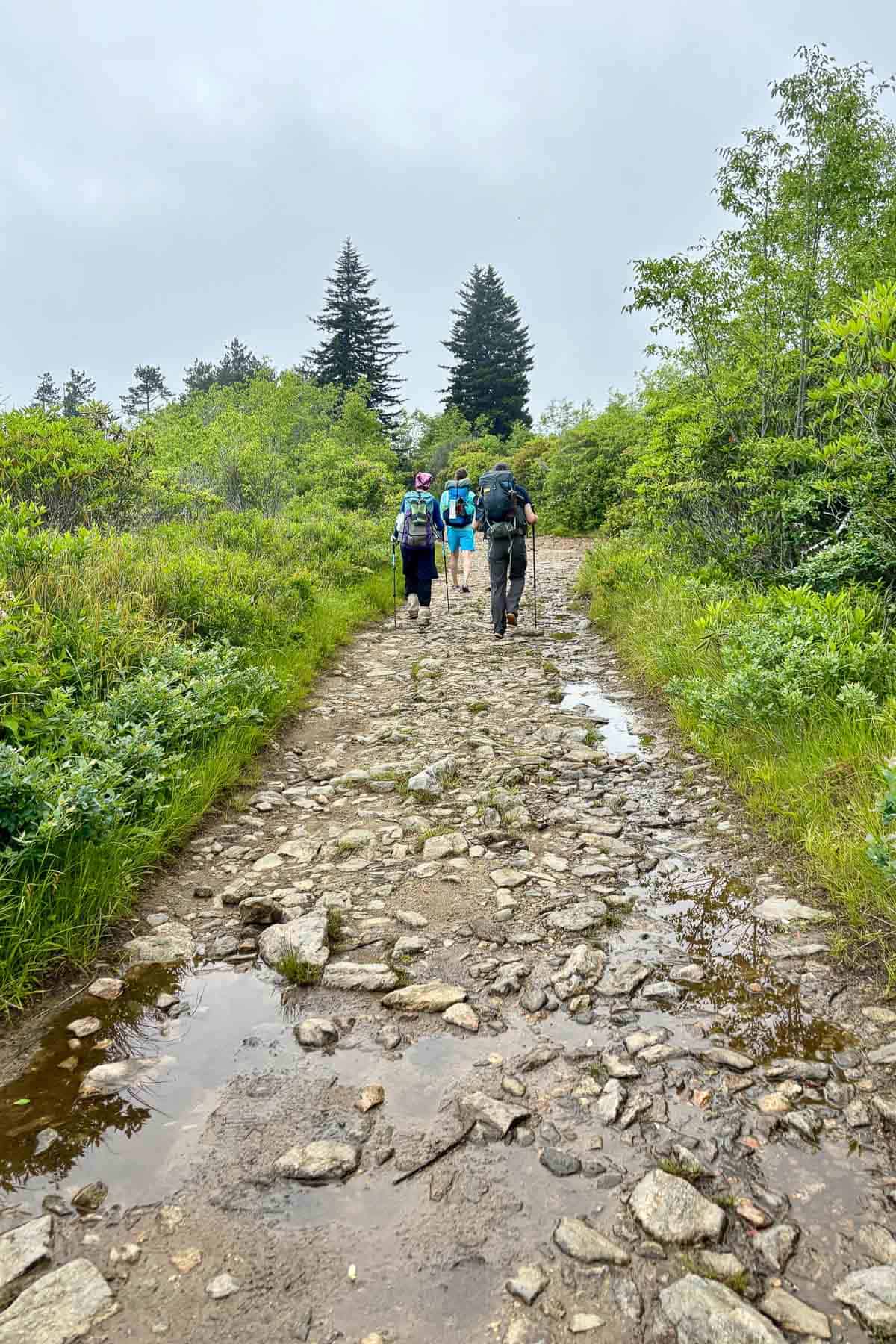 Three backpackers on rocky section of Art Loeb Trail.