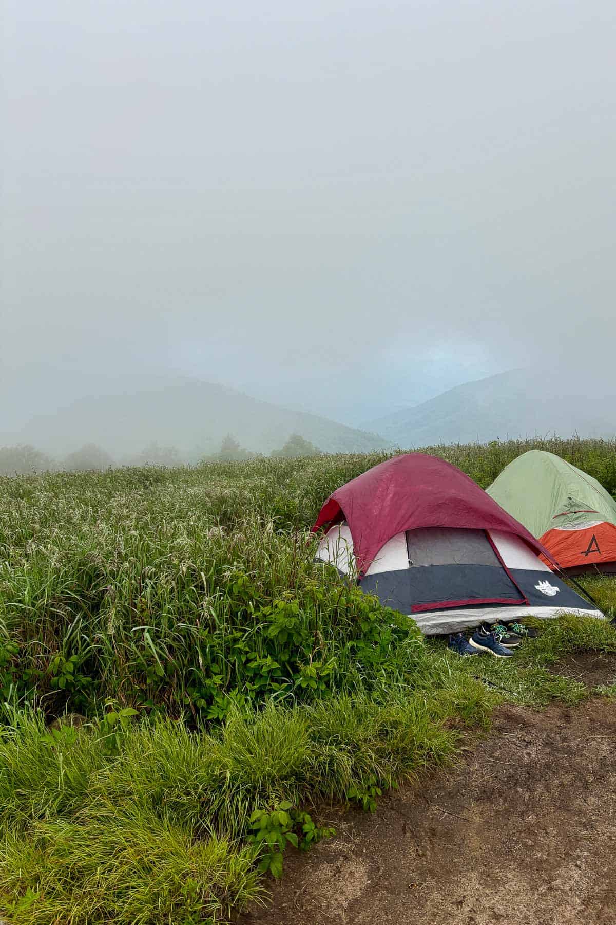 Two tents pitched alongside Art Loeb Trail in foggy conditions.