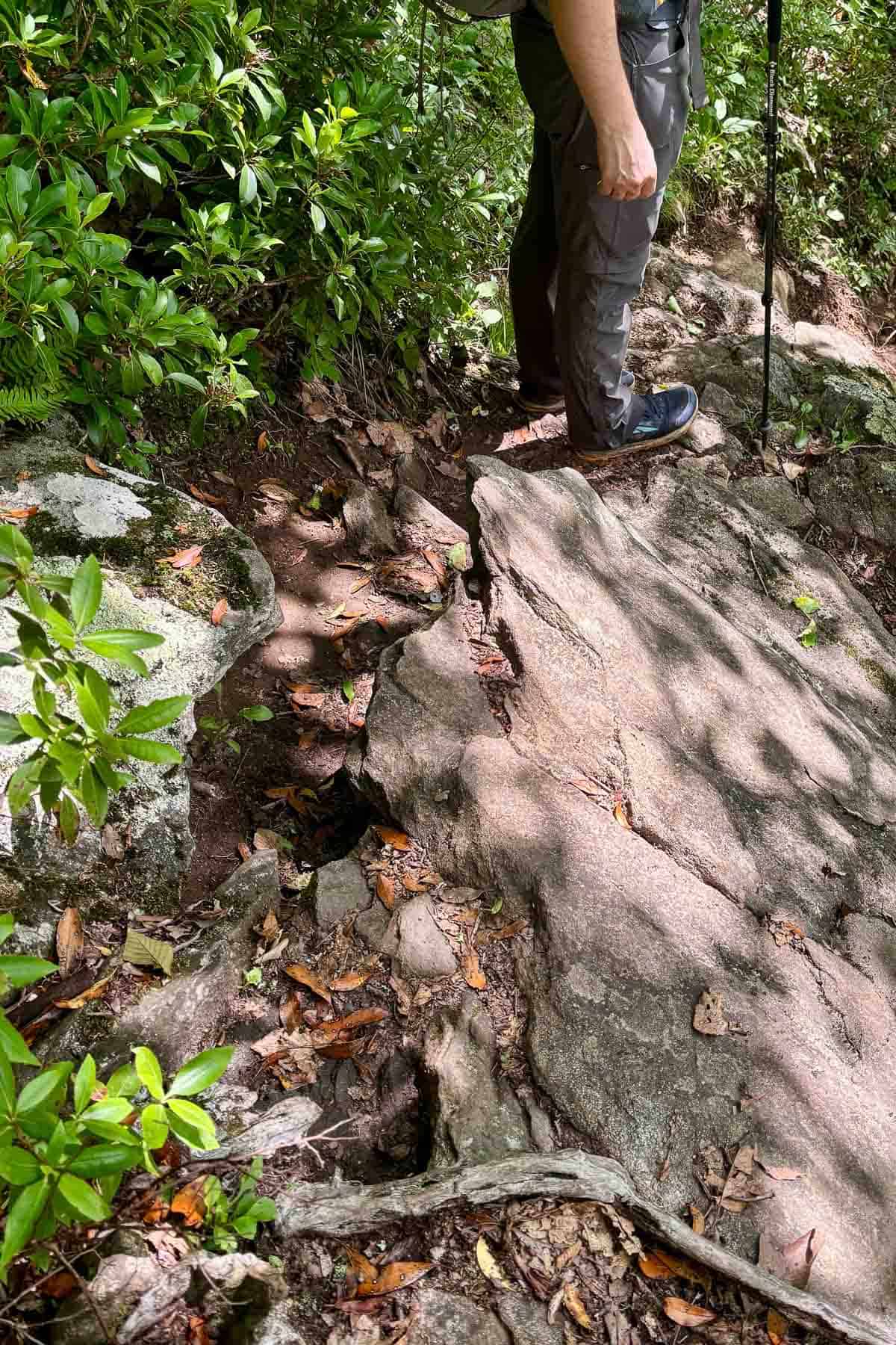 Narrow trail on Cold Mountain.