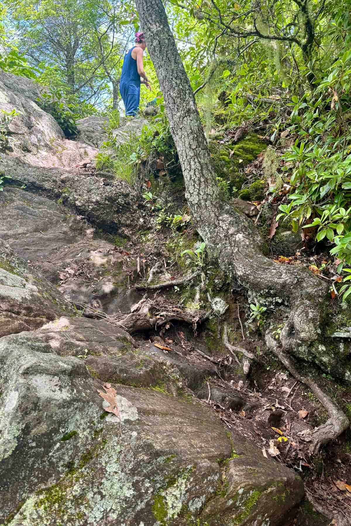 Hiker at the top of a rocky uphill path.