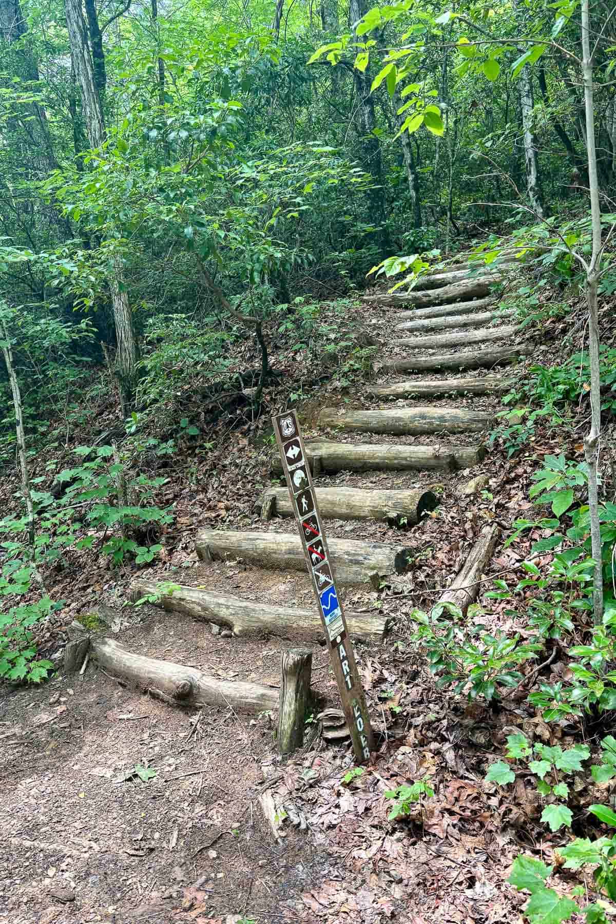 Log stairs ascending hill next to Art Loeb trail marker.
