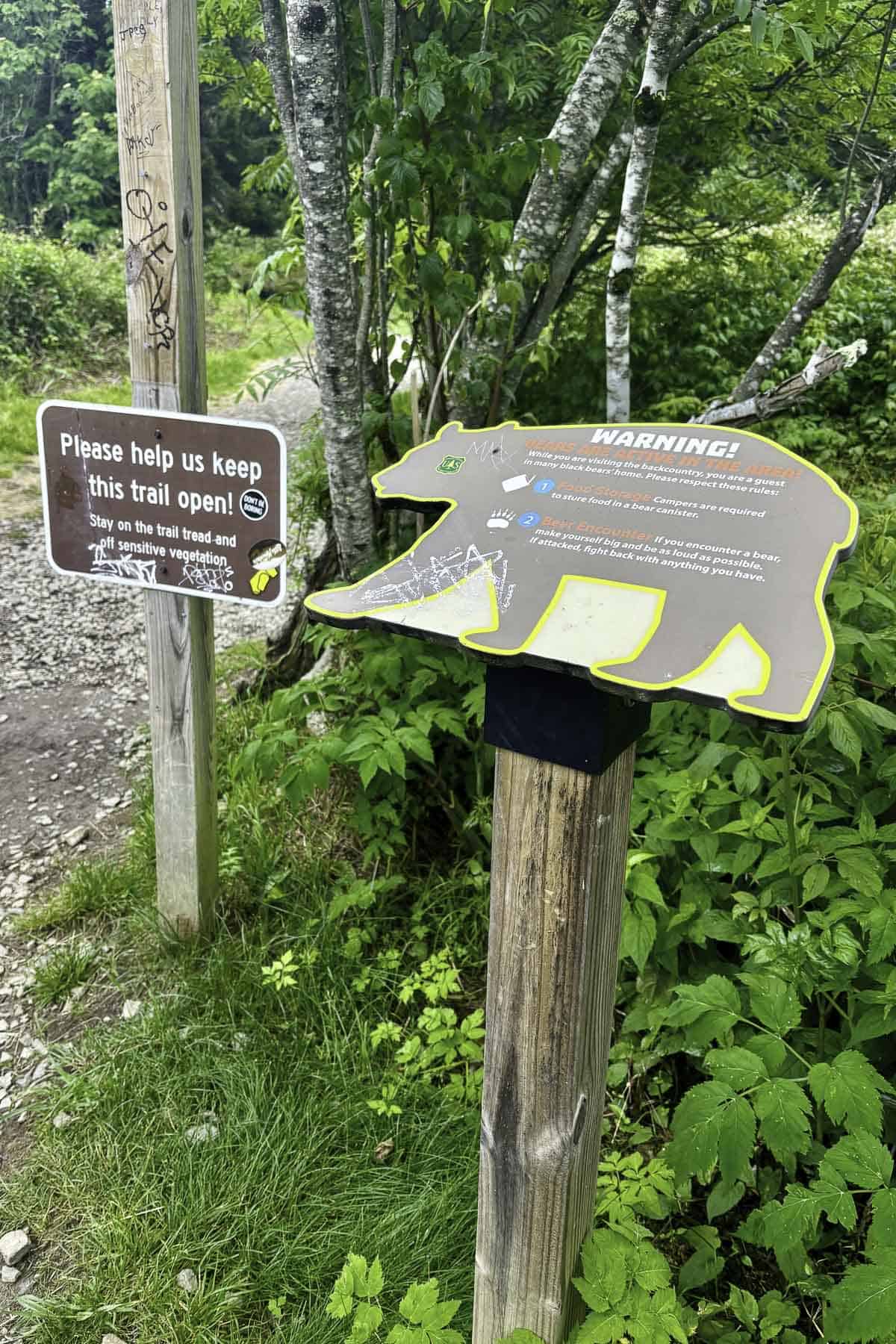 Warning sign about bears on Art Loeb Trail.