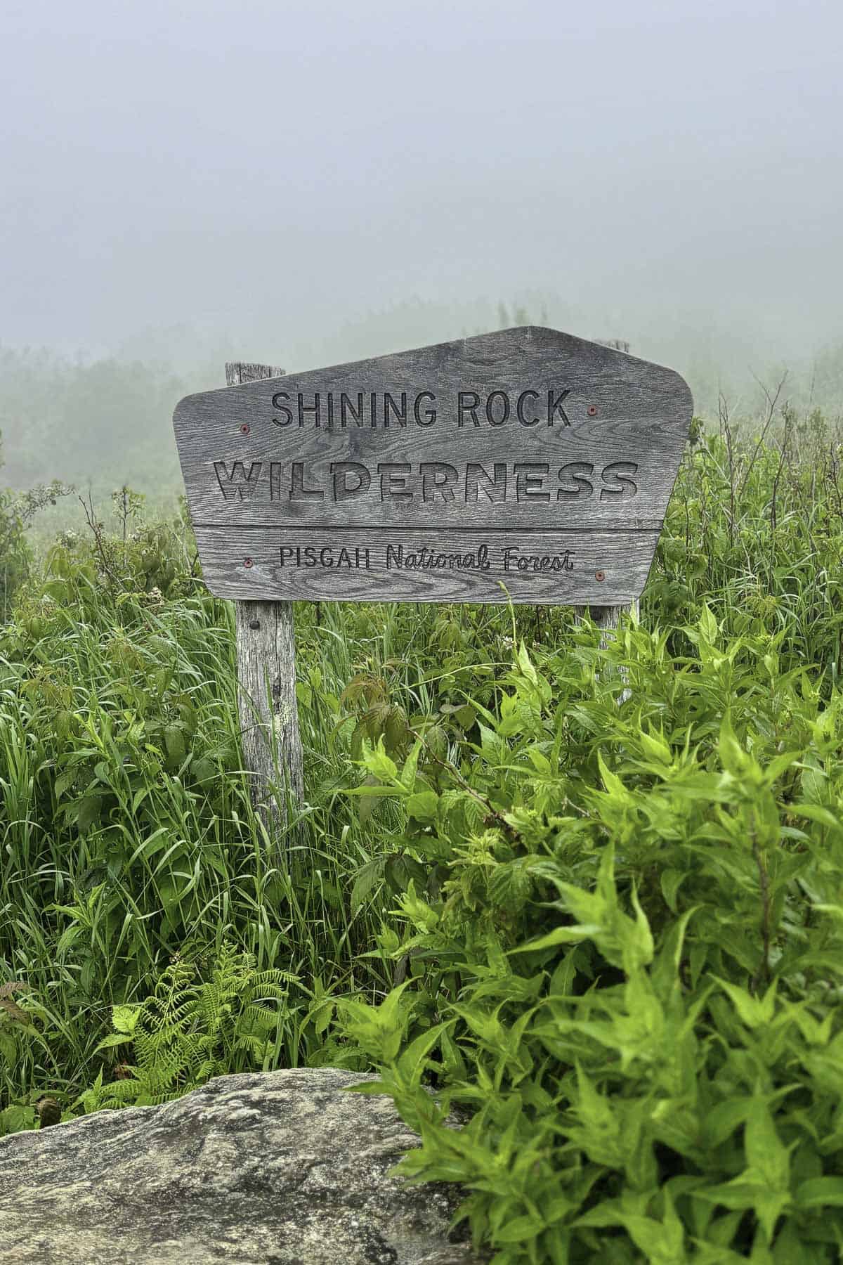Pisgah National Forest sign for the Shining Rock Wilderness.