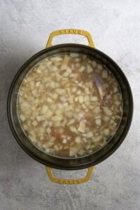 Chicken broth and onions in soup pot.