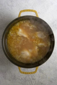 Chicken, onions and broth in soup pot.