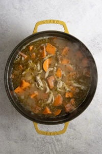 Chicken and sweet potato chunks in seasoned broth in soup pot.