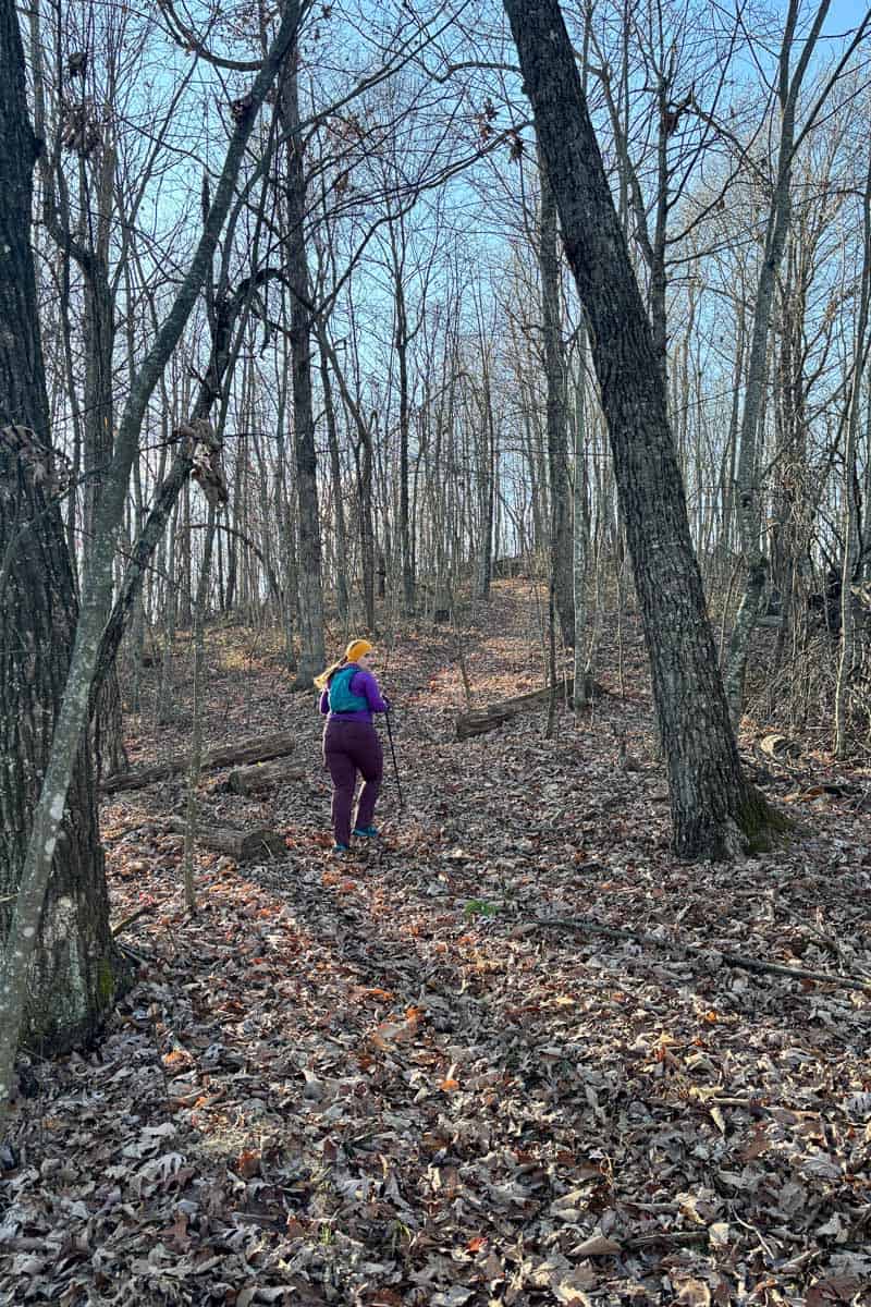Hiker dressed for winter going uphill on leaf-covered trail.