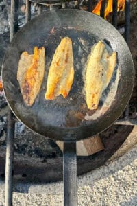 Fish fillets browned from cooking in cast-iron skillet over campfire.