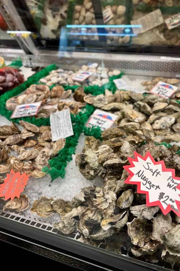 Oysters on display.
