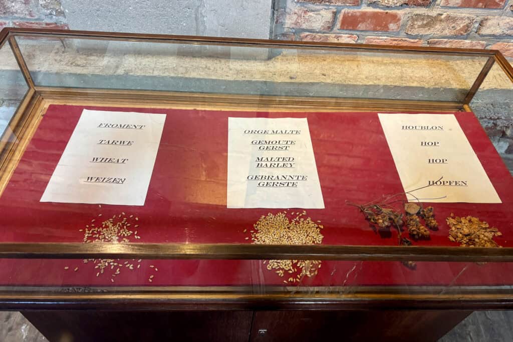 Display featuring wheat, barley and hops used at Cantillon Brewery.