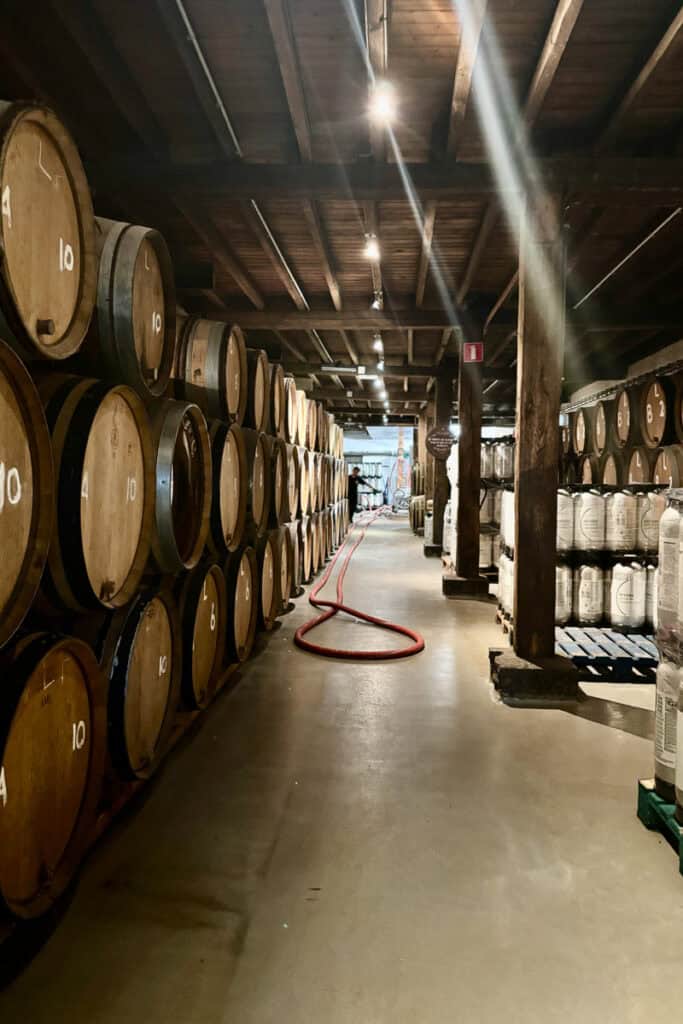 Long rows of beer barrels.