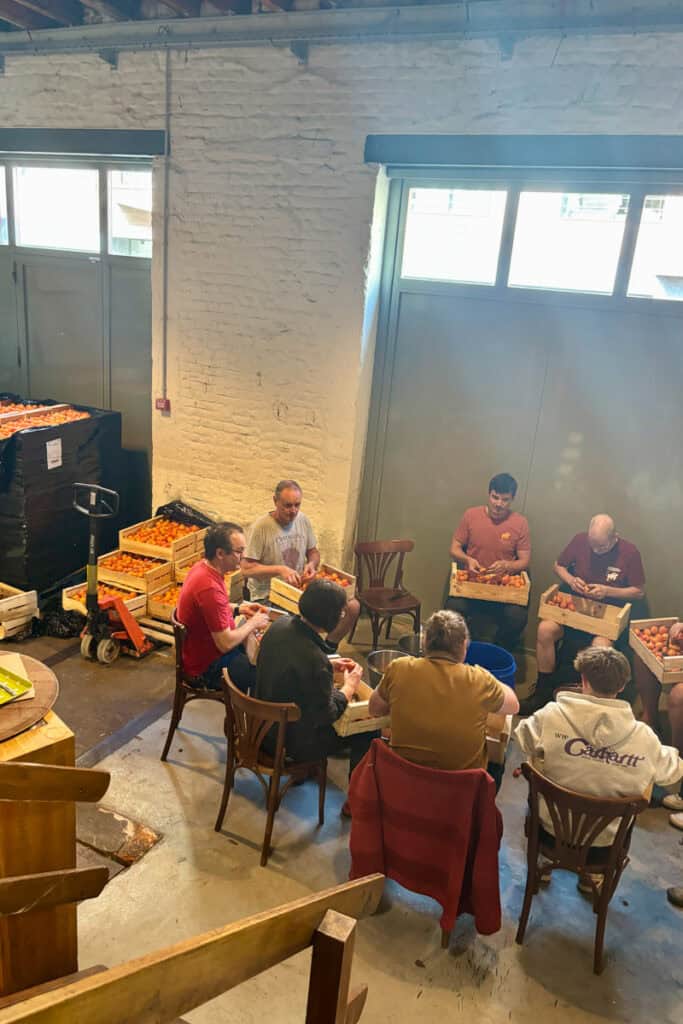 Group of employees preparing fruit for upcoming beer brew.