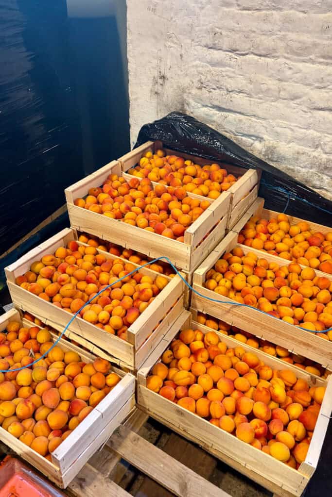 Crates of yellow fruit.