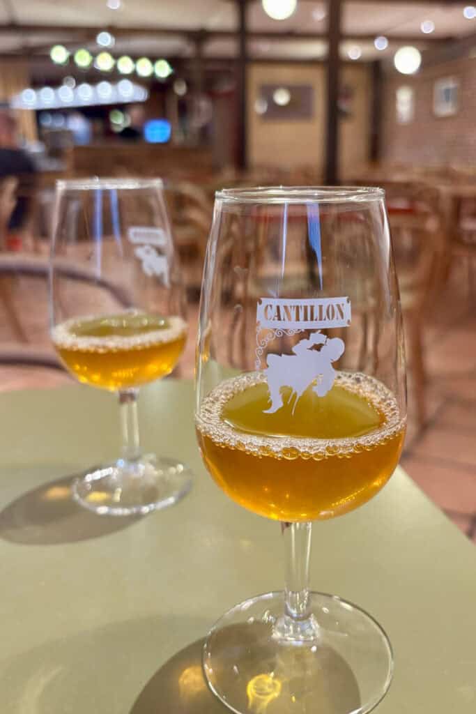 Two glasses of beer samples at Cantillon Brewery.