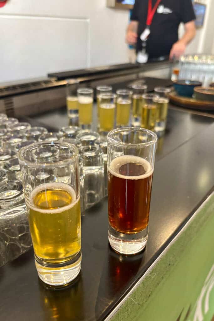 Two glasses of beer samples at Belgian Beer World Experience.