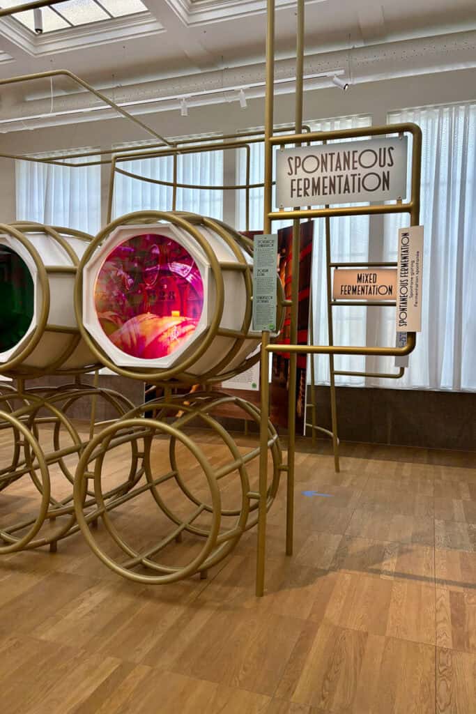 Interactive museum display about spontaneous fermentation.