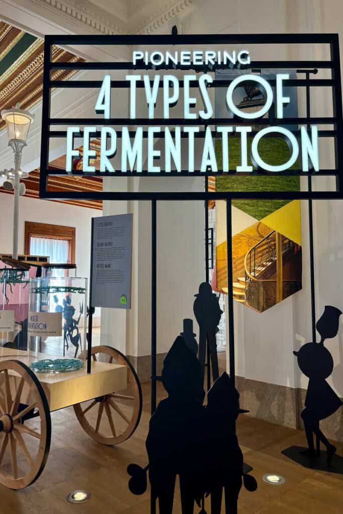 Museum area in Belgian Beer World Experience explaining types of fermentation.