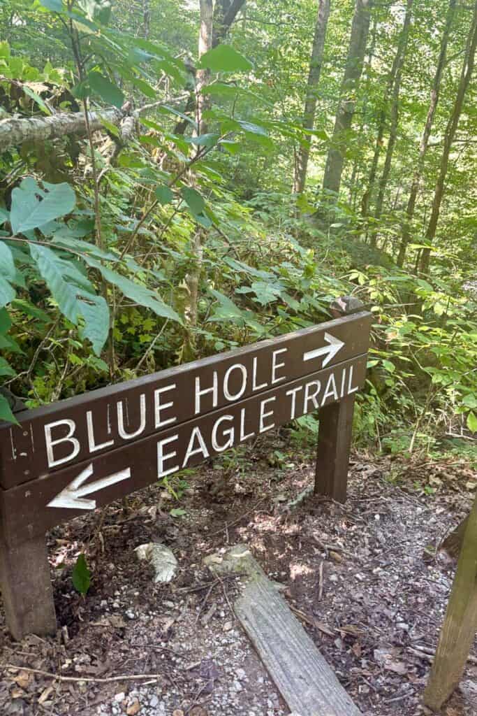 Trail signs for Blue Hole and Eagle Trail.