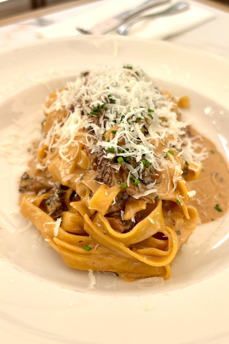 Fetttucine aux morilles (fettuccine with morel mushrooms).