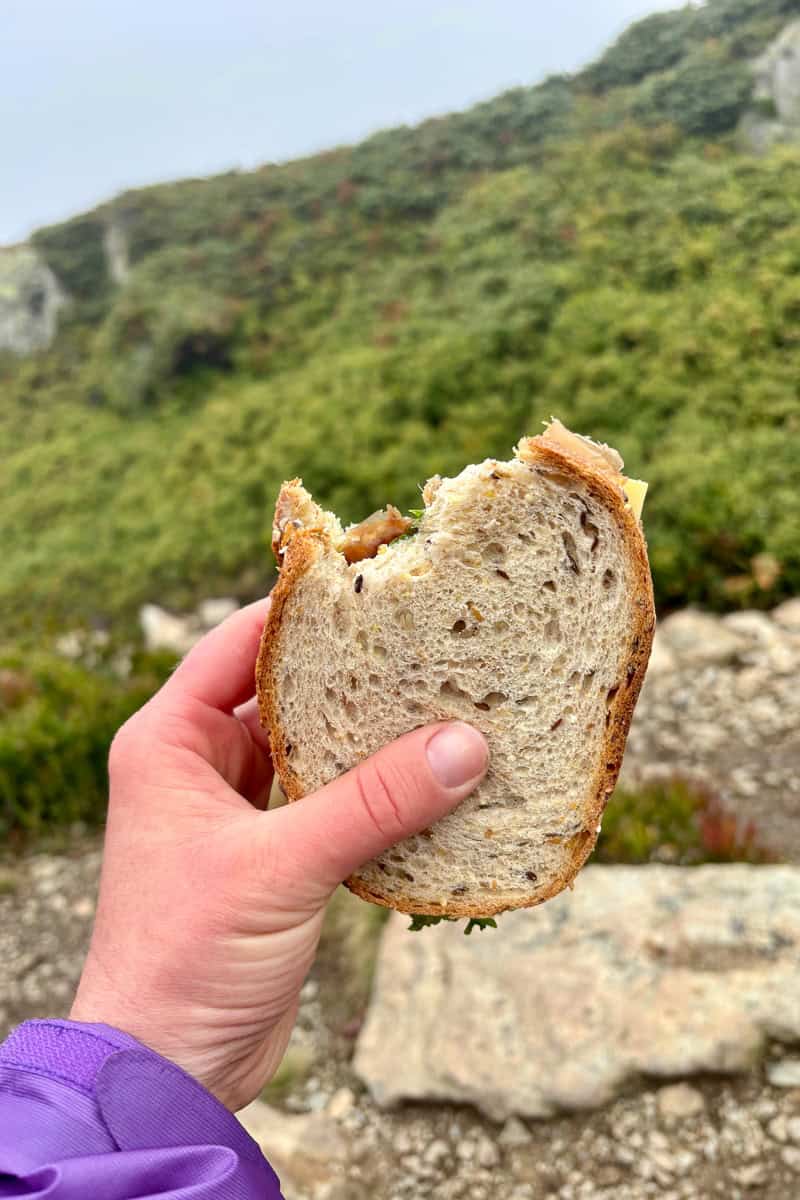Sandwich made with multigrain bread.