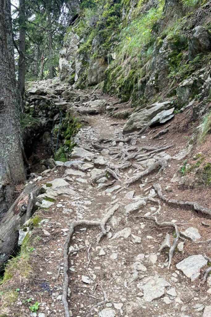Rocks and roots crossing uphill trail on Stages 10 and 11 of the Tour du Mont Blanc.