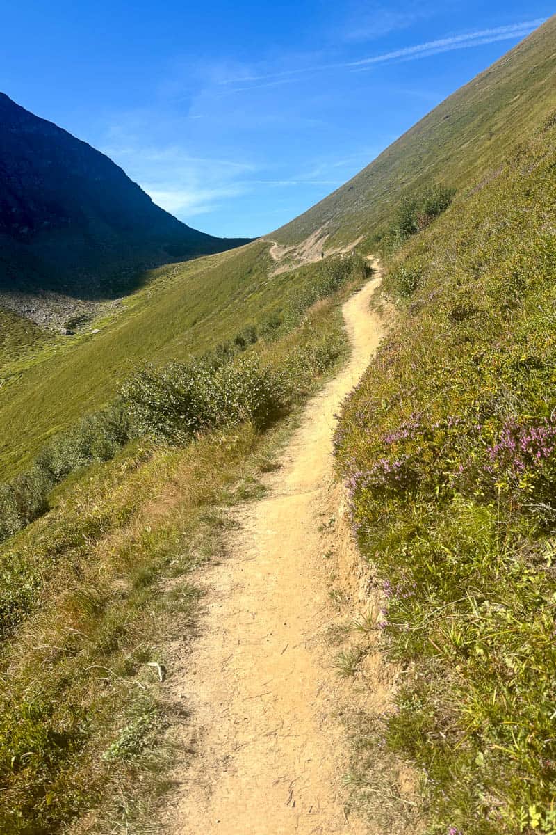 Narrow dirt trail along grassy mountainside.