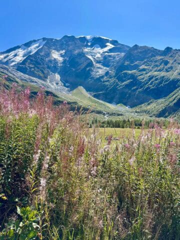 Alpine mountain and valley below clear blue sky.